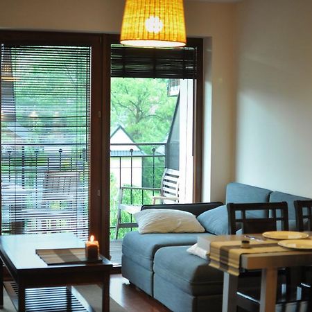 Zakopane - Apartament Z Widokiem Екстер'єр фото