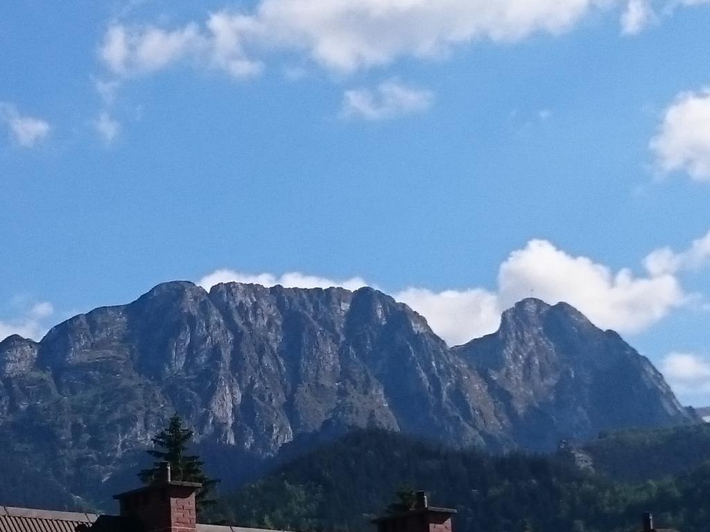Zakopane - Apartament Z Widokiem Екстер'єр фото
