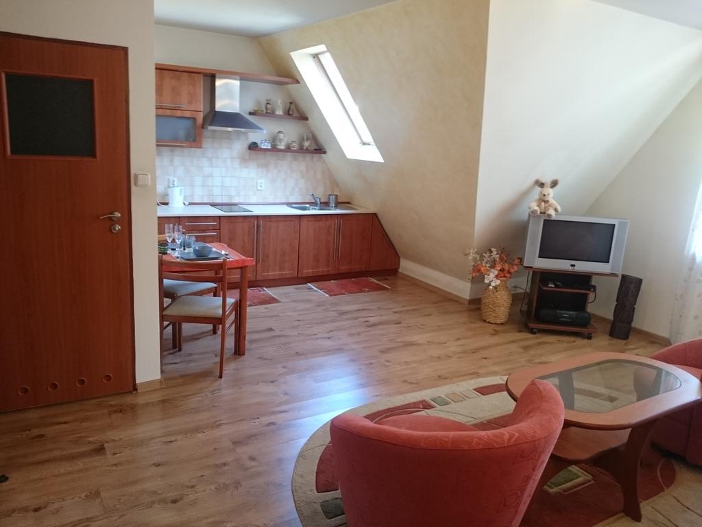 Zakopane - Apartament Z Widokiem Екстер'єр фото