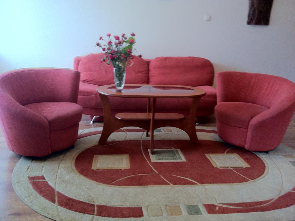 Zakopane - Apartament Z Widokiem Екстер'єр фото