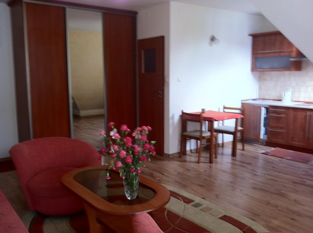 Zakopane - Apartament Z Widokiem Екстер'єр фото