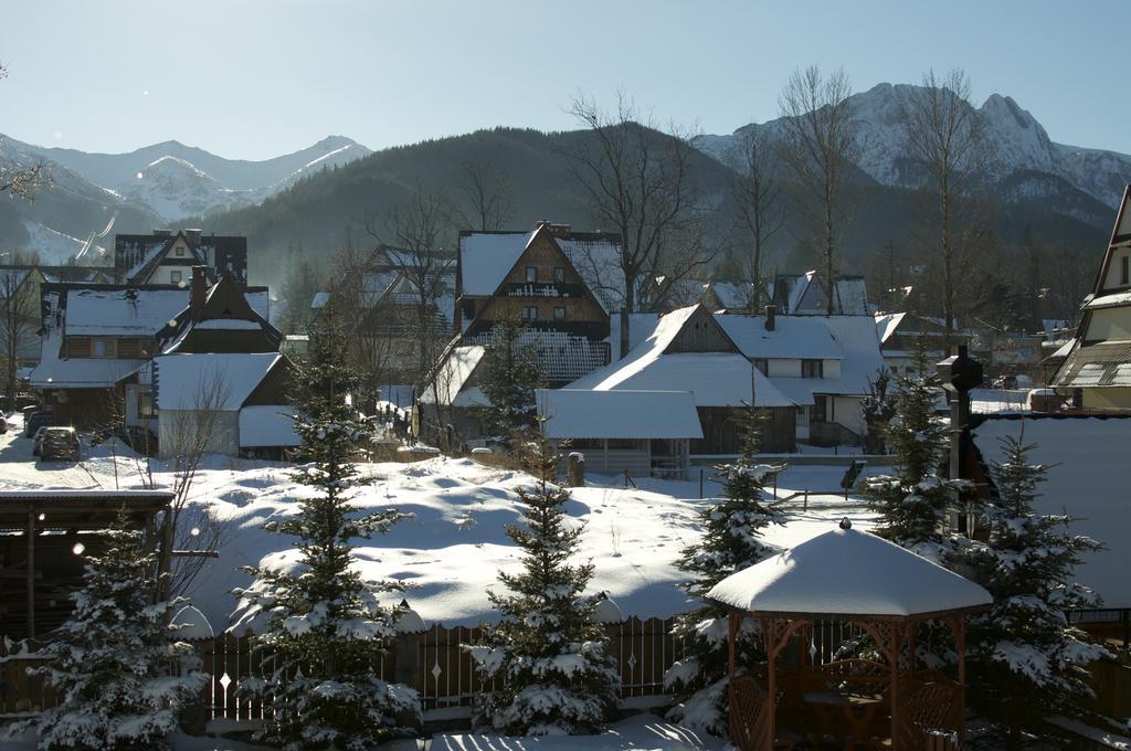 Zakopane - Apartament Z Widokiem Екстер'єр фото